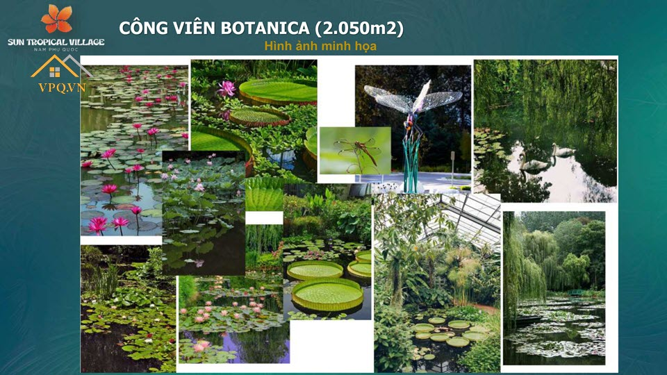 Hình ảnh minh họa công viên Botanica
