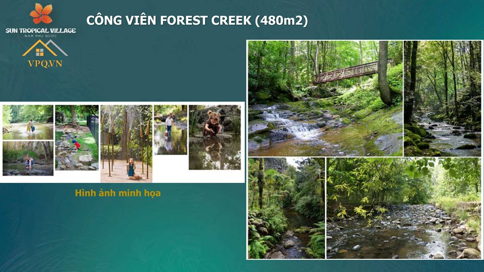 Hình ảnh minh họa công viên Forest Creek