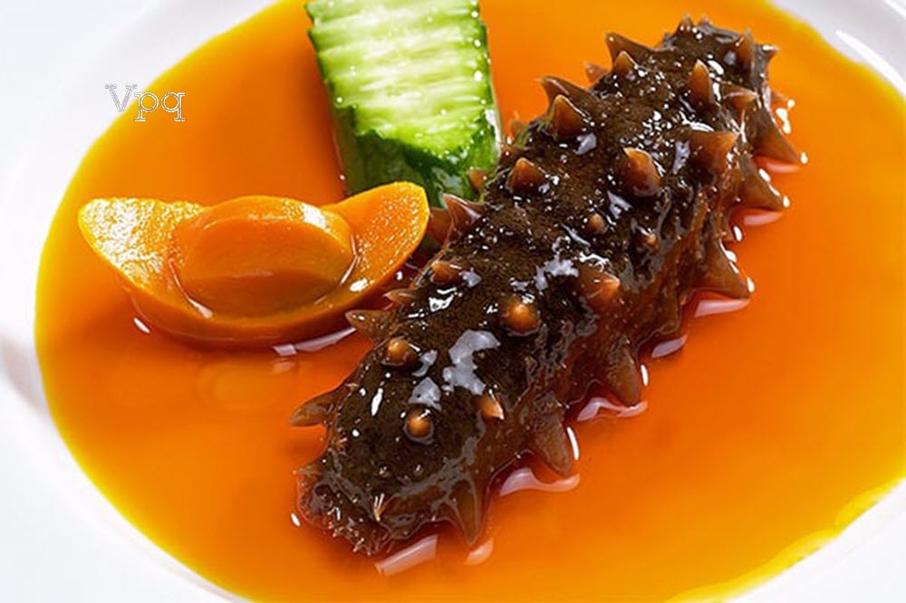 Hải sâm Phú Quốc - Thực phẩm sức khỏe giá trị