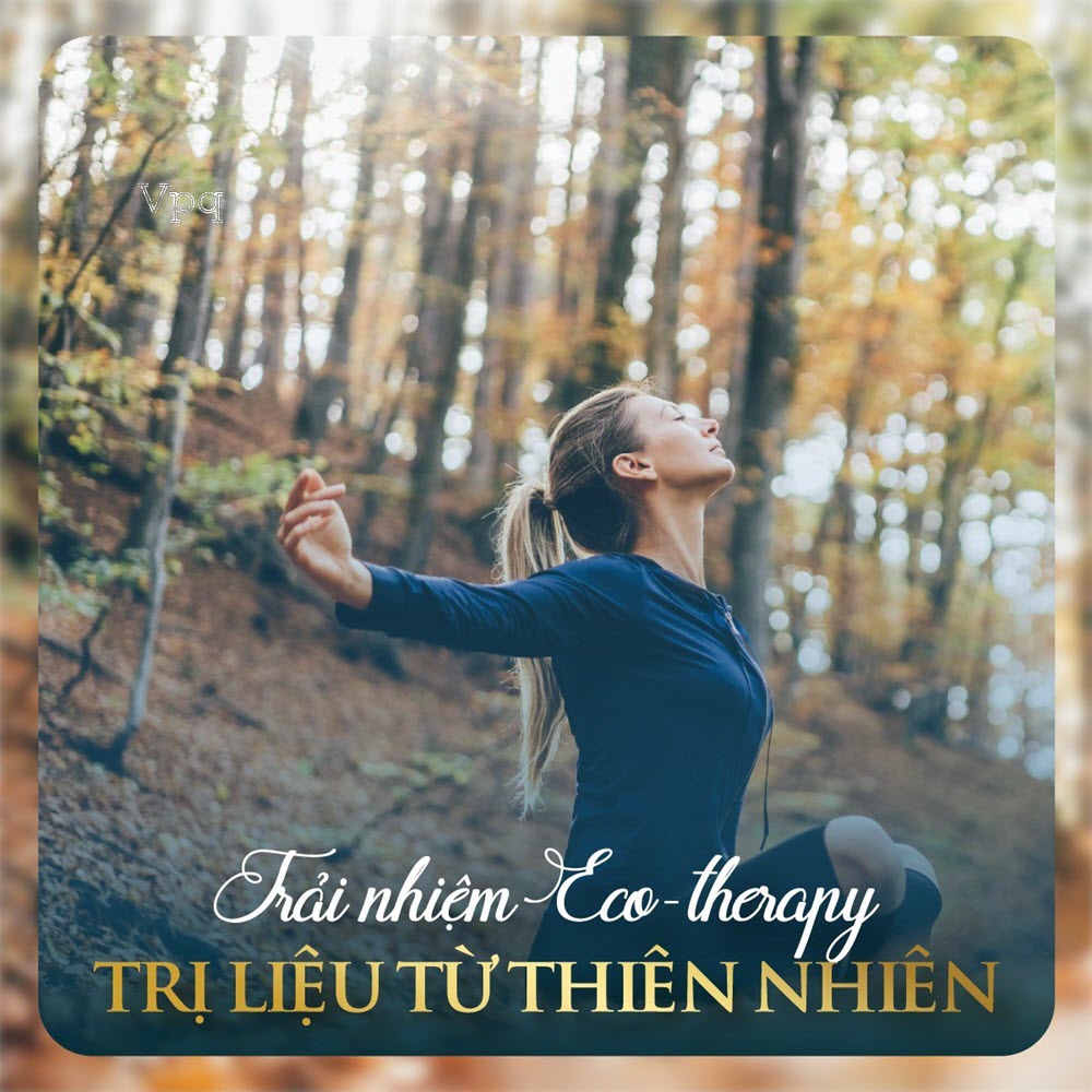 Trải nghiệm Eco-therapy