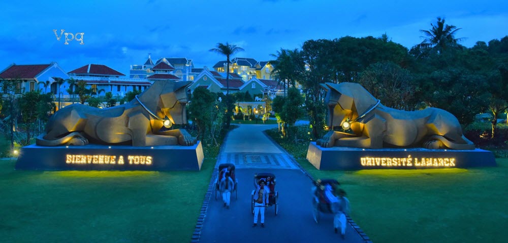 Hai chú chó gác cổng vào JW Marriot Phu Quoc Resort - Ảnh 1