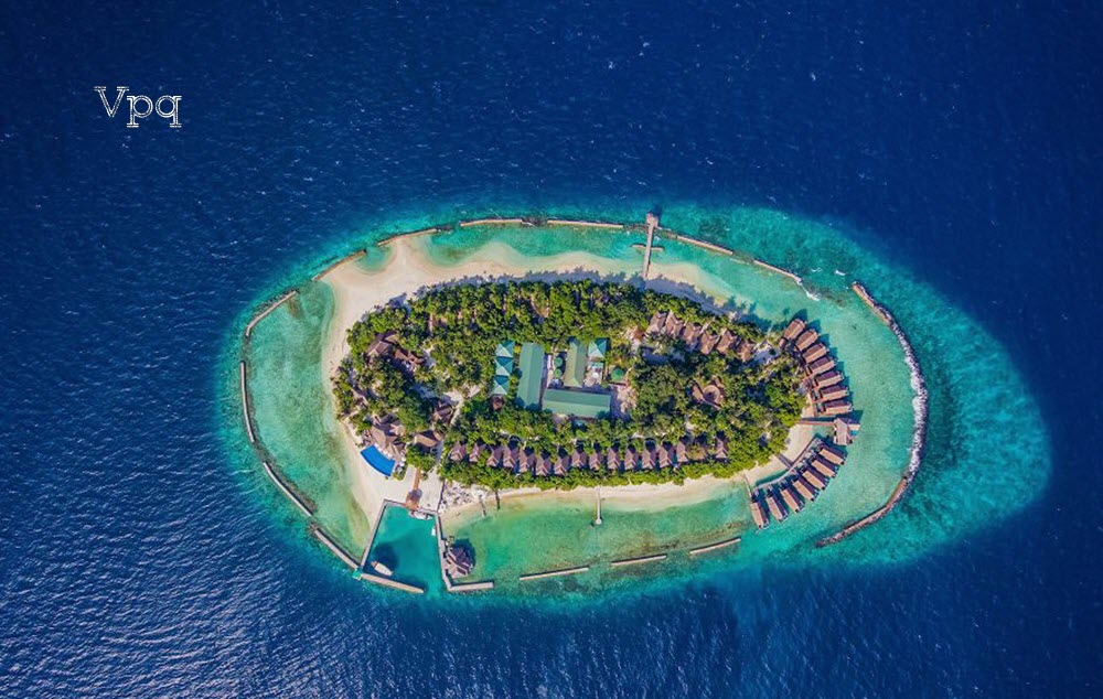 San hô ở biển Maldives tuyệt đẹp