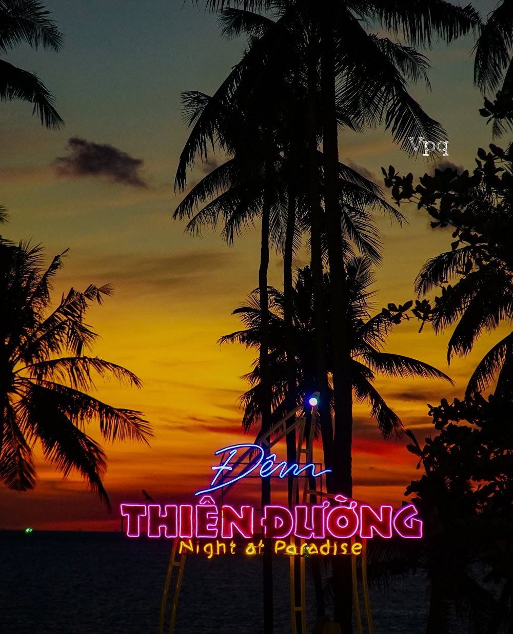 Đêm thiên đường at night pradise