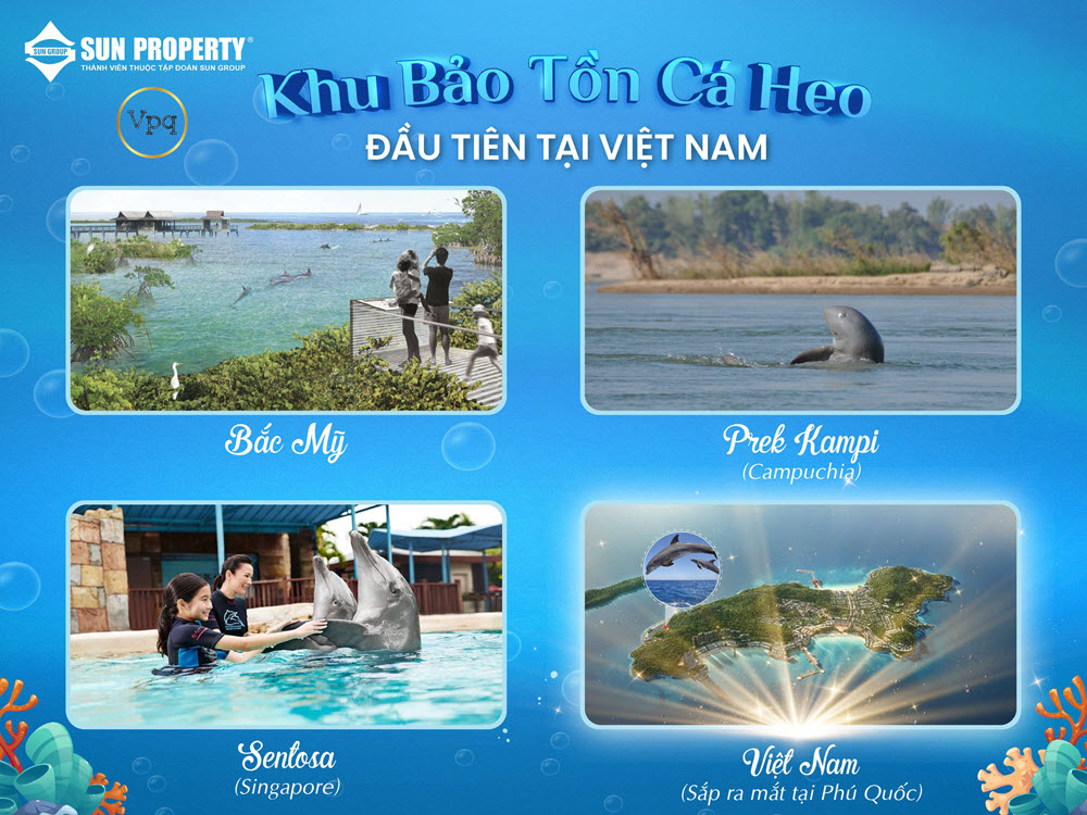 Khu bảo tồn cá heo đầu tiên tại Việt Nam