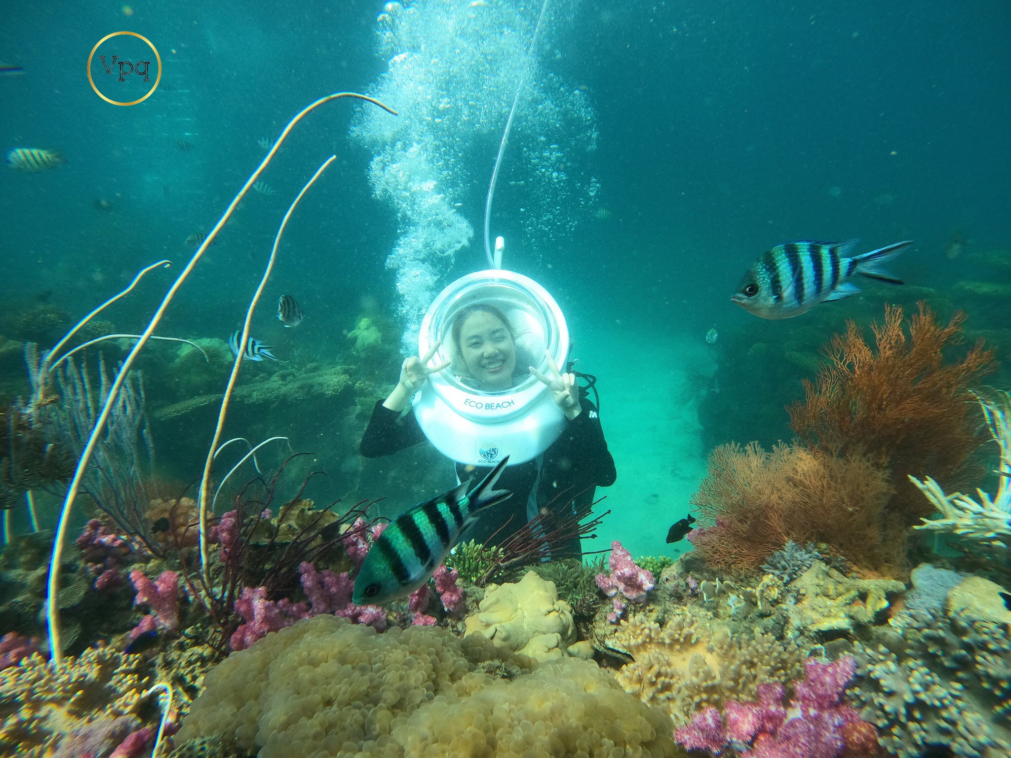 Lặn ngắm san hô tại Hòn Thơm, Phú Quốc