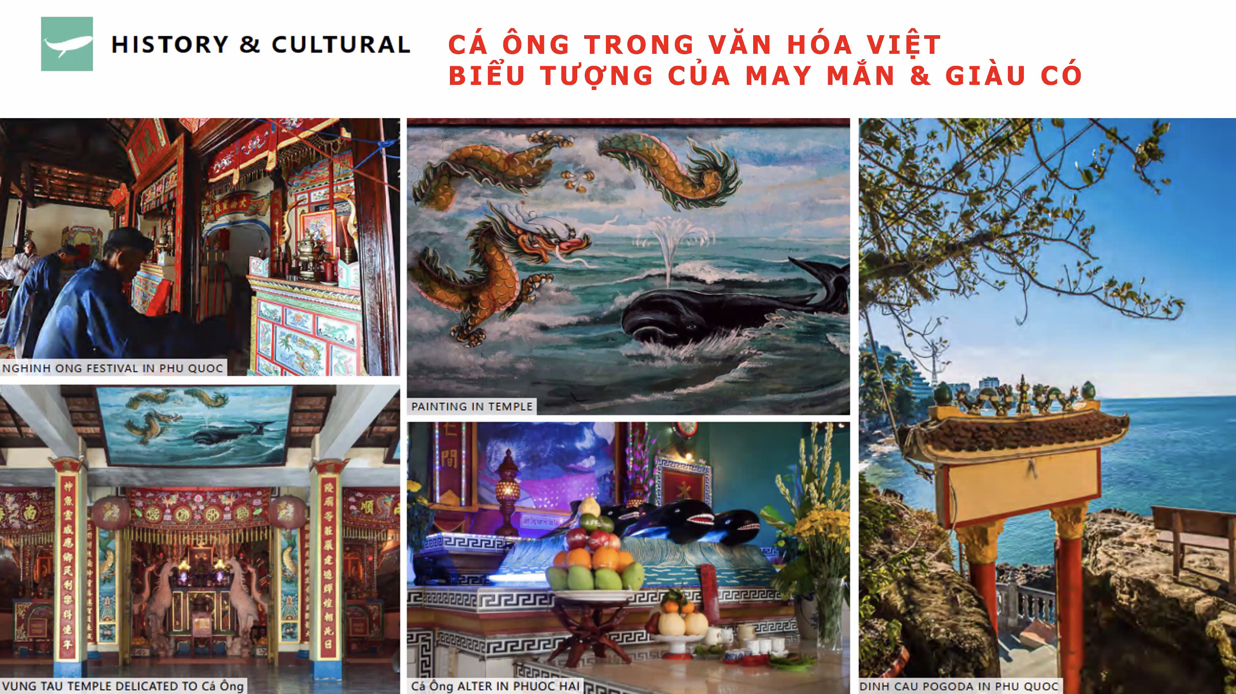 Cá Ông trong văn hóa Việt
