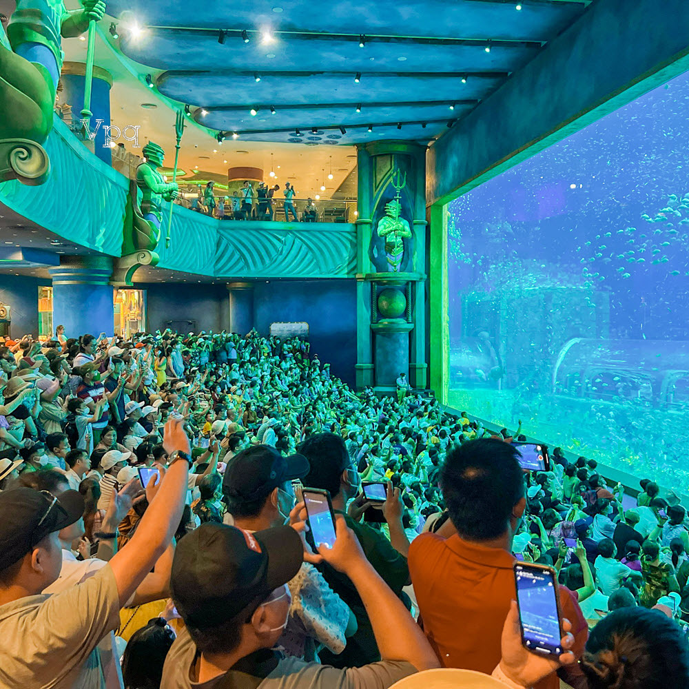 MÃN NHÃN với khung cảnh đại dương huyền ảo tại một trong năm bể thủy cung lớn nhất thế giới