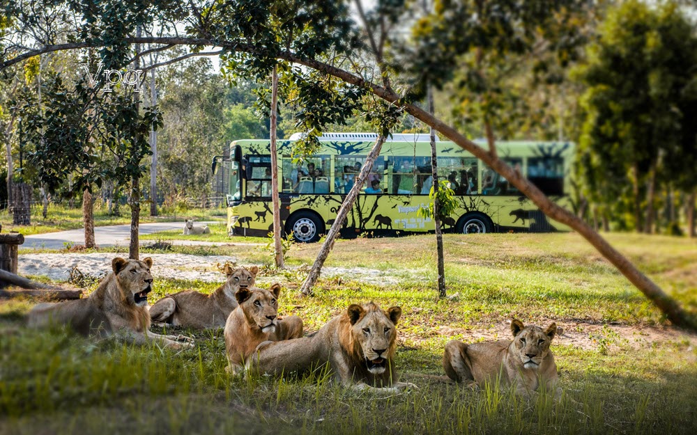 Vinpearl Safari Phú Quốc