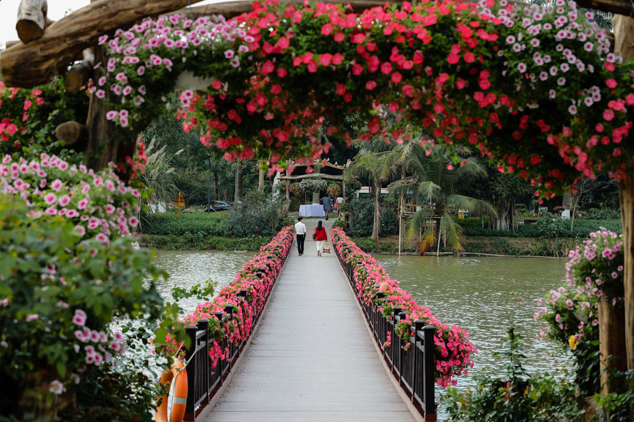 Cầu hoa tuyệt đẹp tại công viên hồ Thiên Nga Swan Lake Park - Ecopark