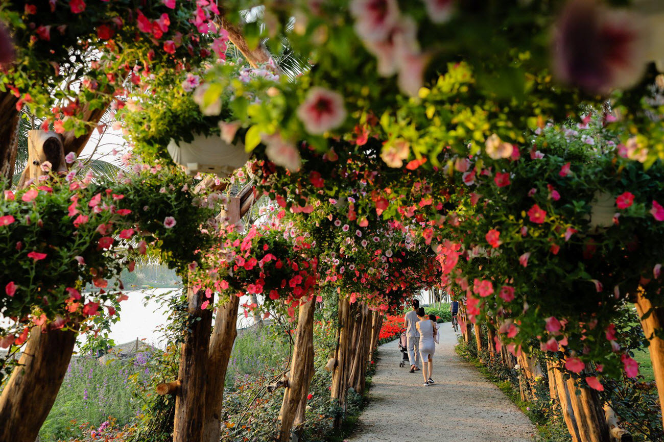 Dạo bộ cùng gia đình thân yêu dưới những cung đường hoa thật tuyệt vời